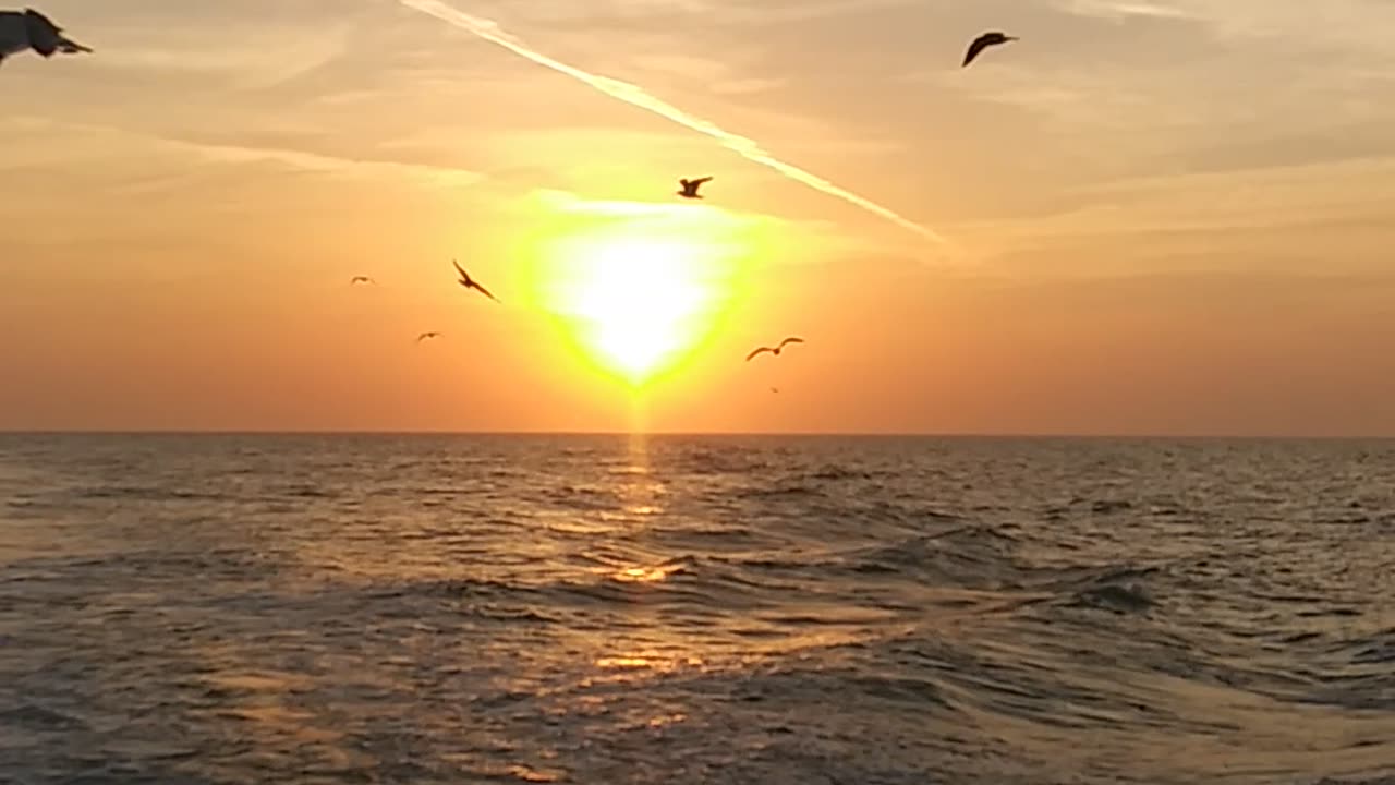 Beautiful Sunset