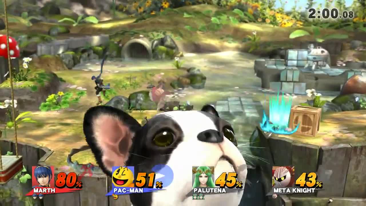 Super Smash Bros 4 Wii U Battle219