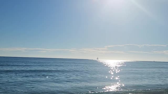 America's Mayor Live (E72): Biden/Harris Breakup?