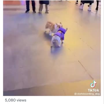 I put my armor on🛹