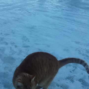 Psalm 46 Revised Standard ( Be still and know that I am God)