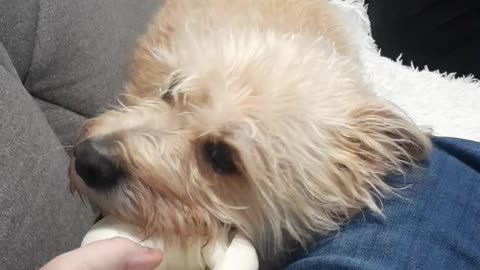 BERKELEY AND THE RAWHIDE