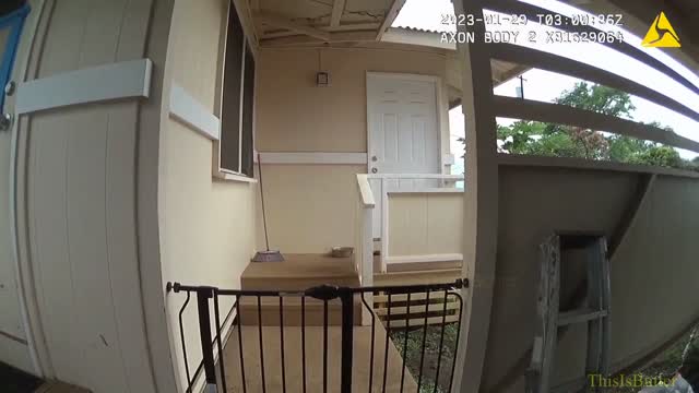 Investigation underway after Hawaii Island police officer fatally shoots pit bull