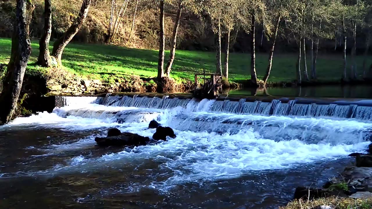 Beautiful Riverview and relaxing sound