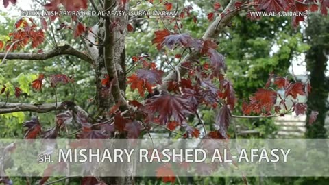 Mishary Rashed Al-Afasy’s BEST Qur’an Recitation! Surah Maryam - Beautiful -