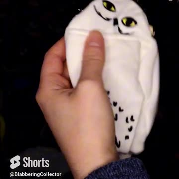 Quick Look: Vera Bradley Hedwig Coin Pouch #harrypotter #wizardingworld #hedwig