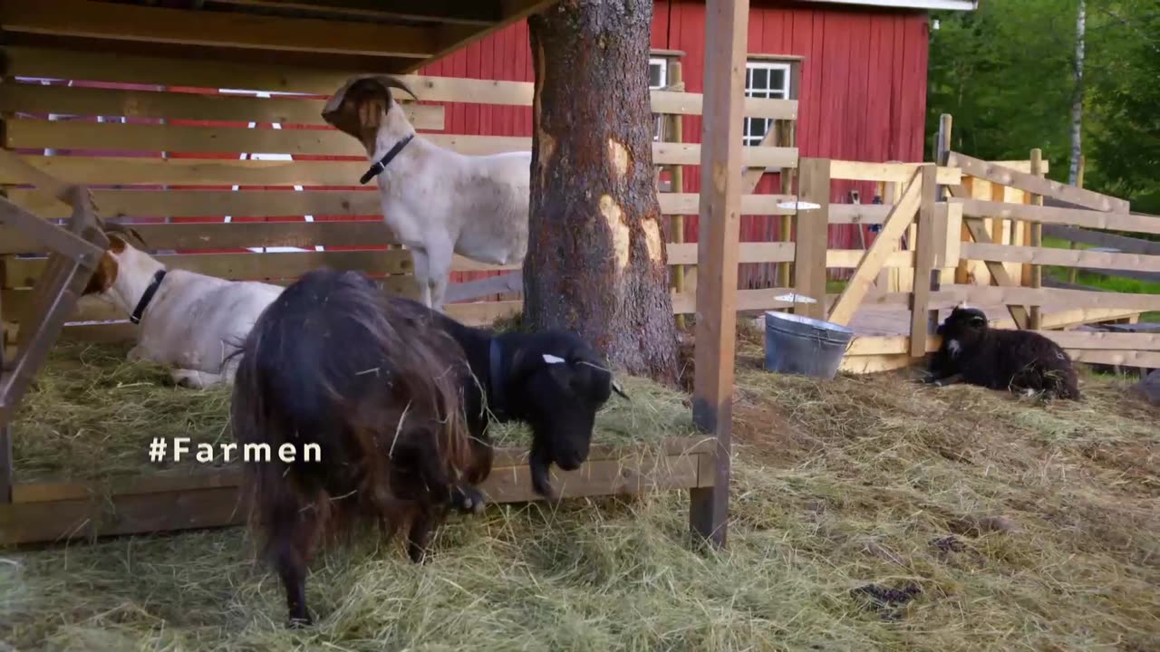 Farmen Norge S17E11