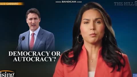 Tulsi Gabbard BLASTS #Trudeau as 'Increasingly Authoritarian' Going After Jordan Peterson