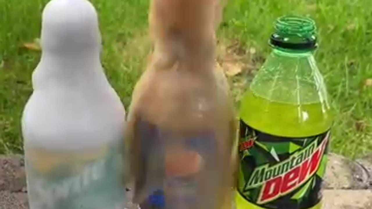 Coca Cola, Fanta, Sprite und Mentos