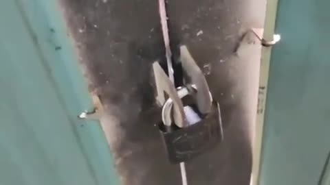 the thief tries to open the door