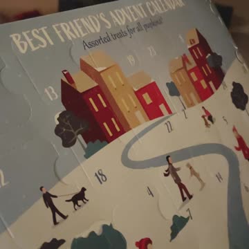 Dog Advent Calendar Day 1