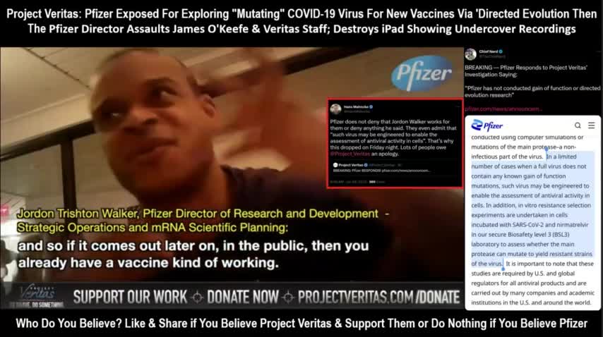 Project Veritas: Pfizer Responds to Pfizer Exe Jordan Walker's "Controlled Evolution" Confession