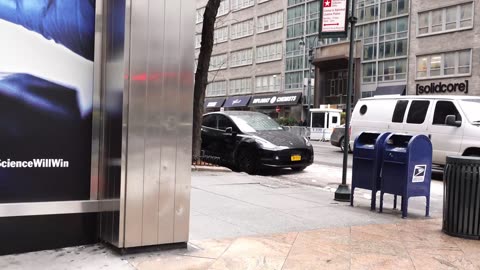 Pfizer Art | New York