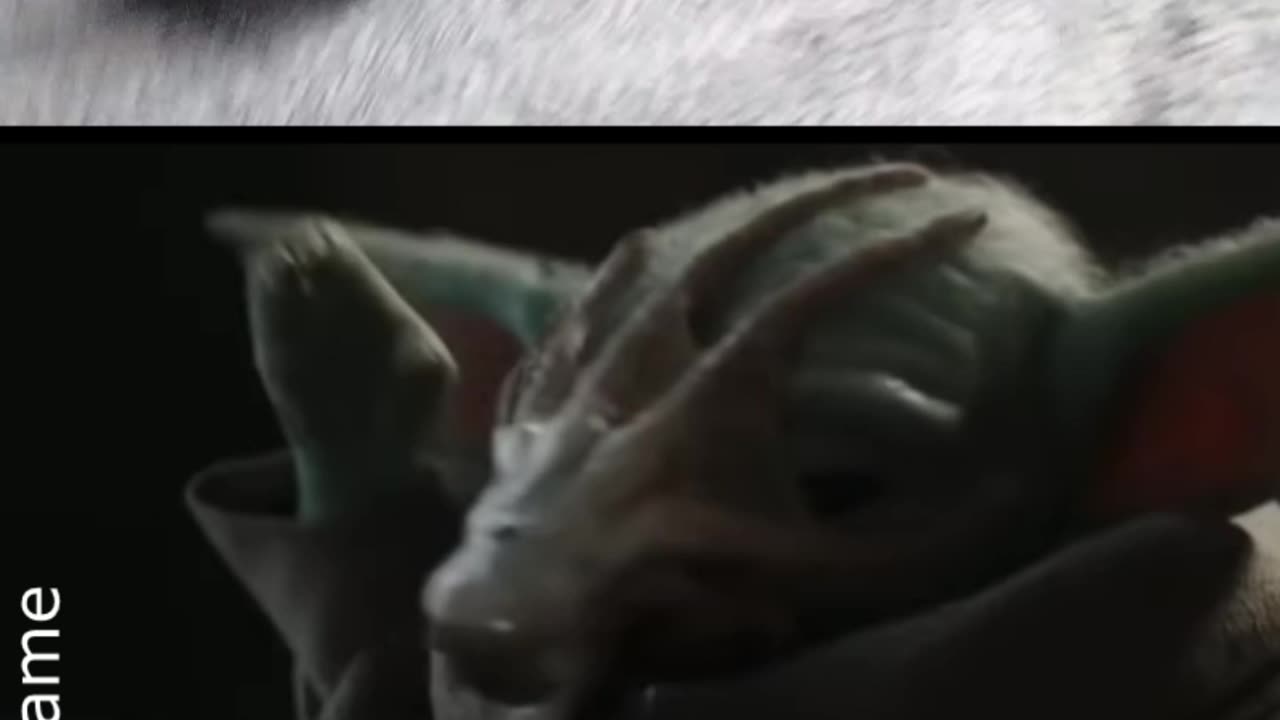 BaByYoda Yo quiero comidita 🤠REMAKE cuando no te dan comidita