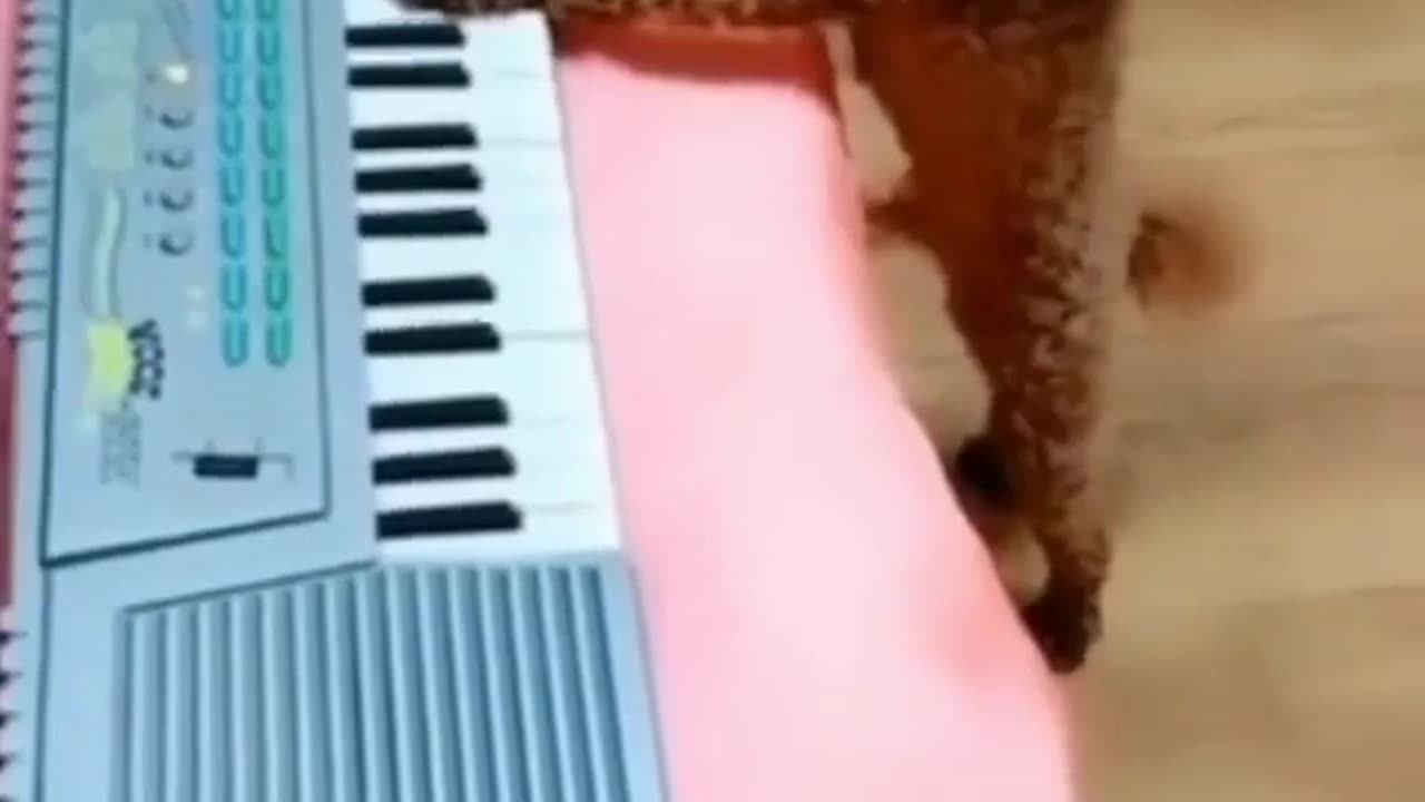 Playing Piano
