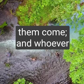 🗺️ Your Spiritual GPS: Navigating Life with the Timeless Wisdom of the Bible