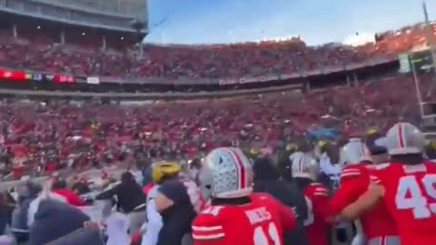 The on-field angle of the fight between Ohio State and Michigan