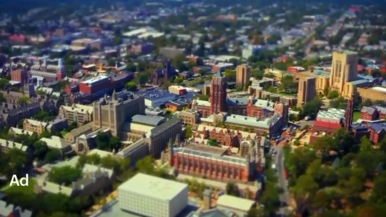 WHO really is Hunter Biden?