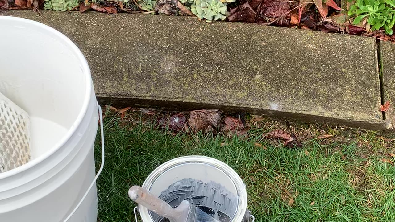 Painting a query