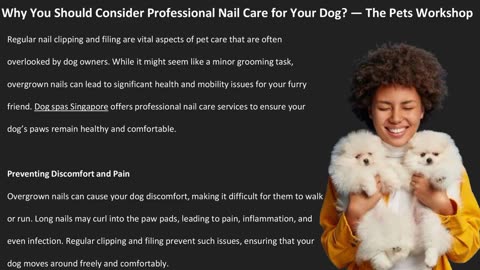 Why You Should Consider Professional Nail Care for Your Dog? — The Pets Workshop