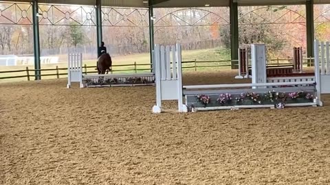 Unbridled Fancy - 2’3 hunters (first time off property) 112121