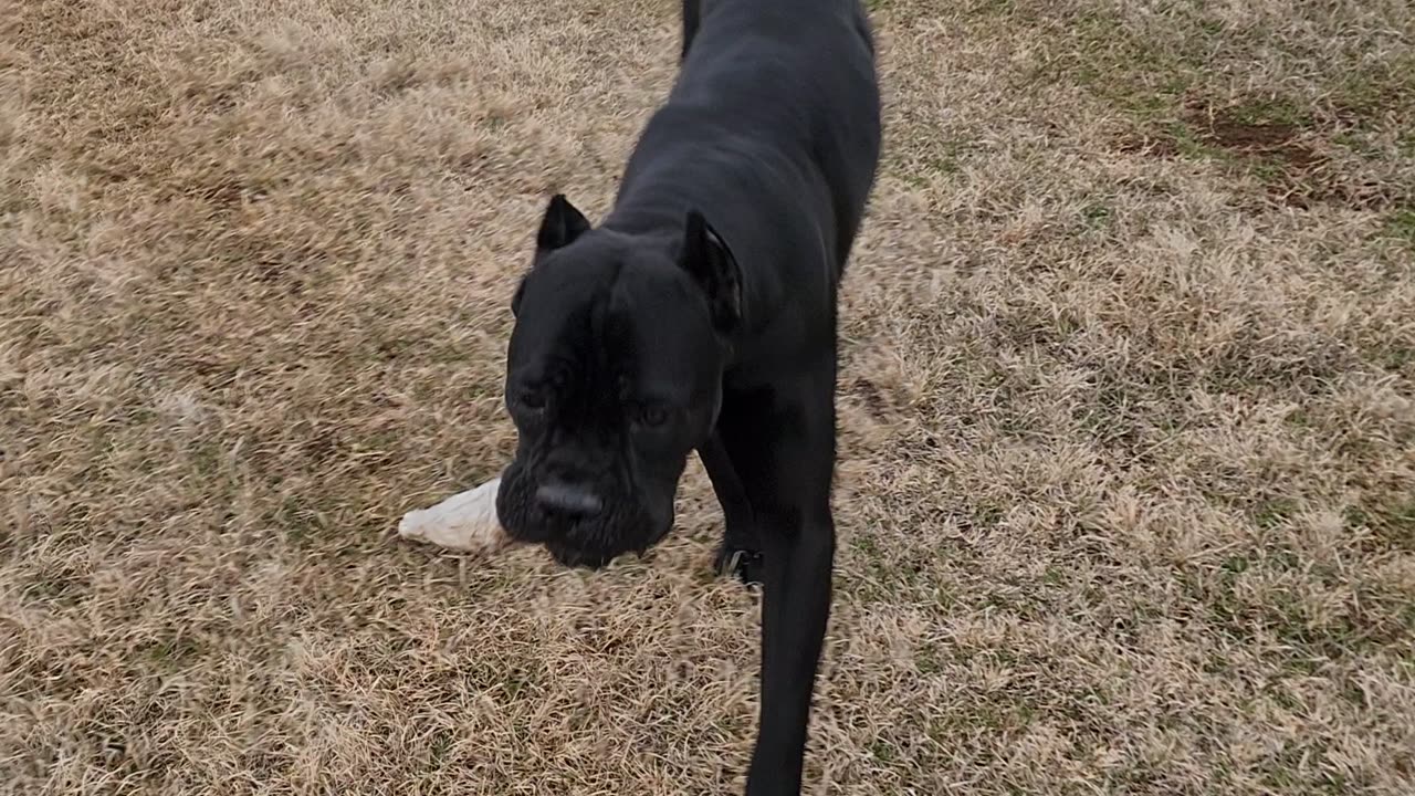 They grow up fast part 2