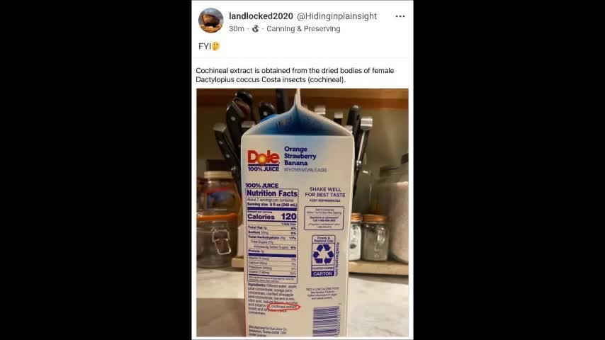 Remember the Cabal told us: 'you will eat the bugs'