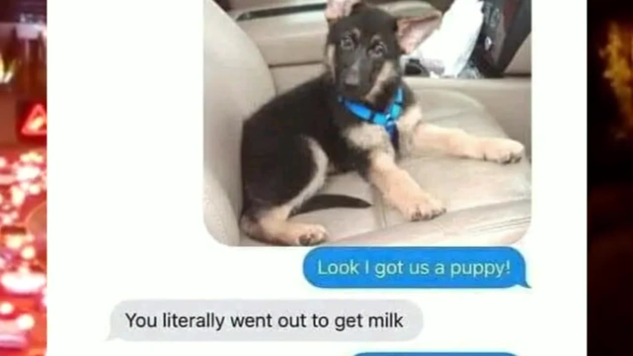 when you bring a pet into the relationship 😹😂#funny
