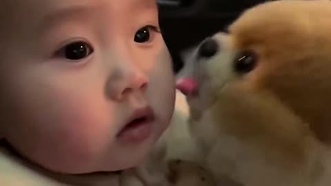 When babies meet puppies