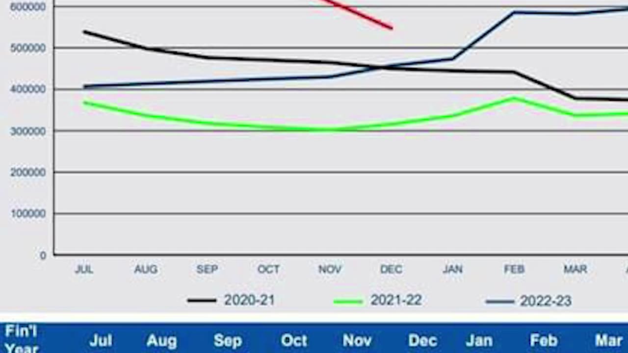 Australia's net student visa numbers are dropping significantly this year.