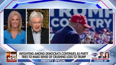 Newt Gingrich: Democrats spent over a billion trying to beat Trump and he is still standing