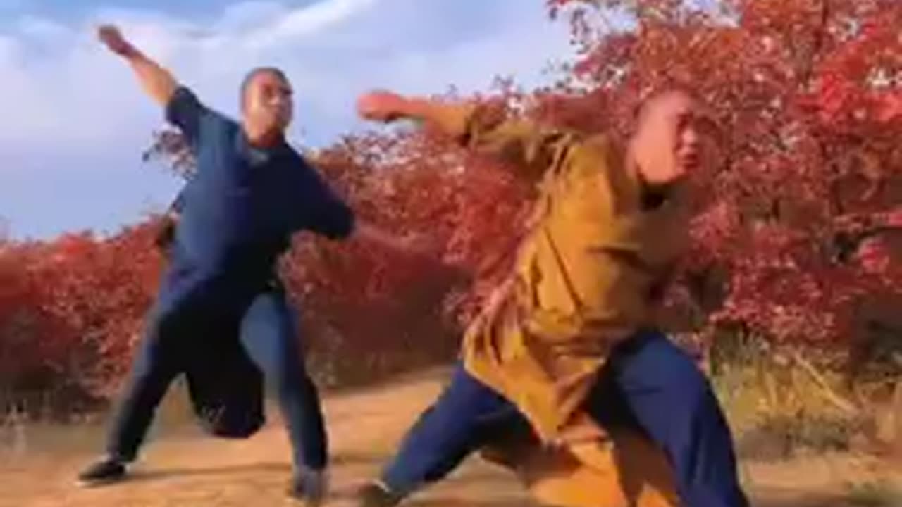 Unleash the Power of Shaolin Flow"