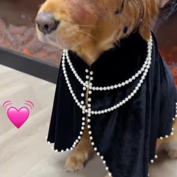 Funny moments #77 🤣