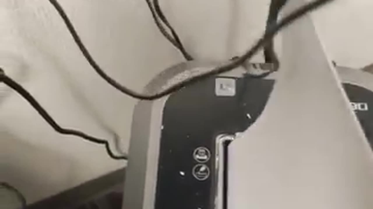 @BitesizeCobraVids said I need to make more videos of me doing things