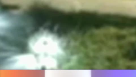 Mysterious Explosions All Over Wealthy LA Suburban City