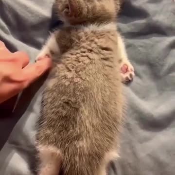 Well, how can you be so sweet?