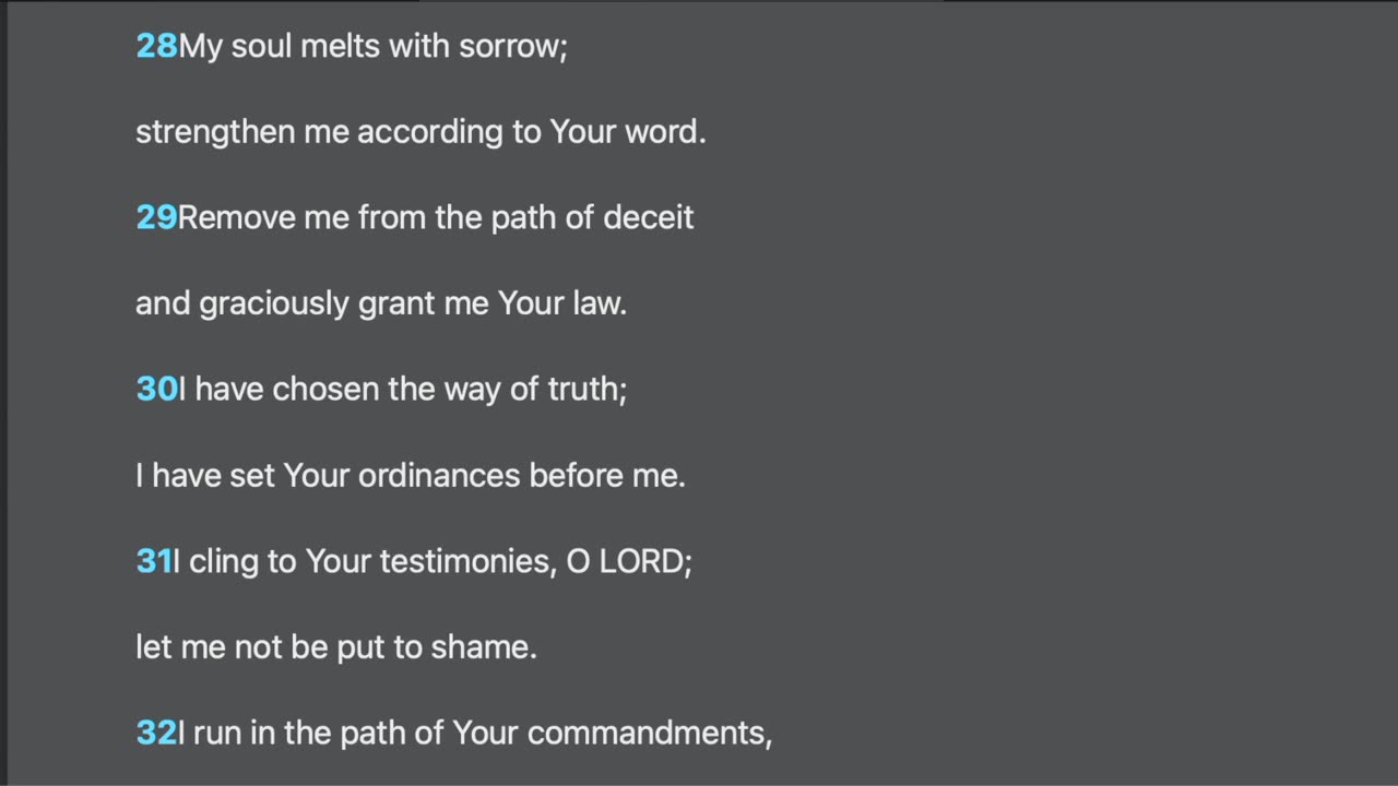 Psalm 119:25-48