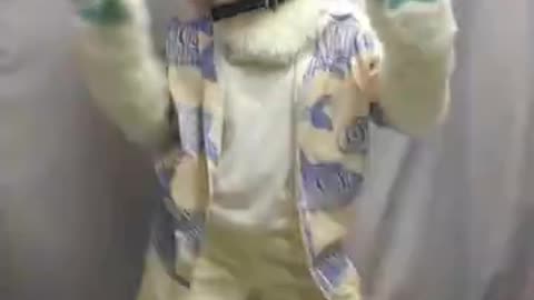 【兽装舞蹈】浅浅跟一下人类的风吧//尾控私心溢满！//bones蝎子舞