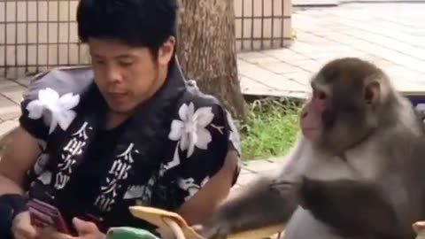 A secret conversation with a monkey..🐒 🤫😅