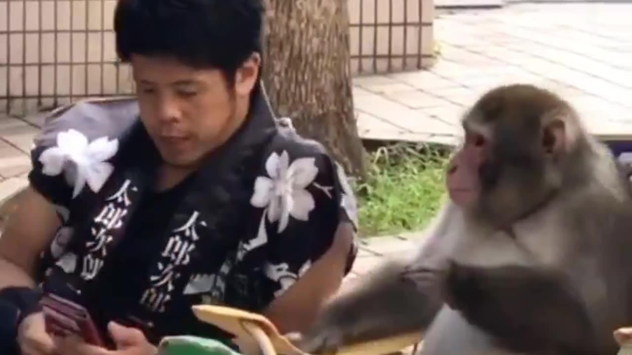 A secret conversation with a monkey..🐒 🤫😅