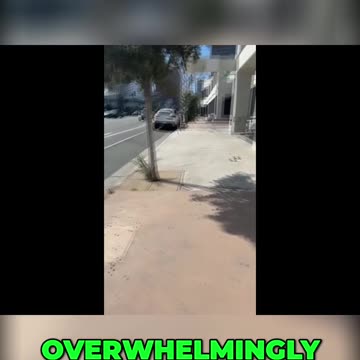 The Political Game: Trump, Nixon, and Alienating the Elite