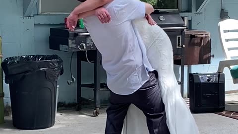 My Sister And Brother In Law Dance
