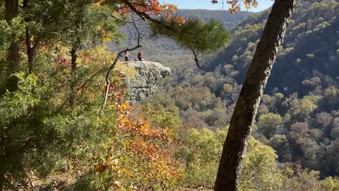 Hawksbill Craig