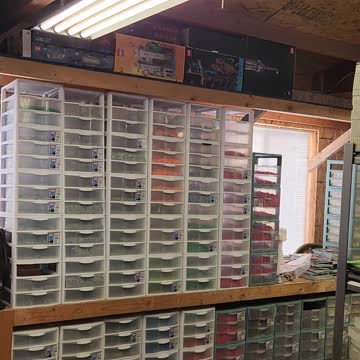 Shop Update 01-31-2023 Shorts