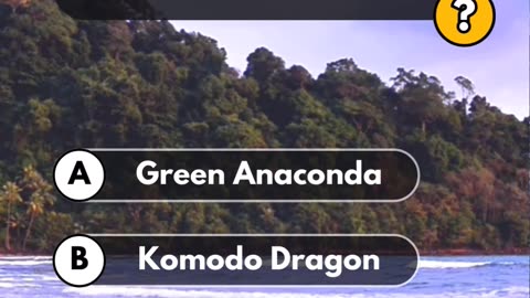 What is the largest reptile in the world?