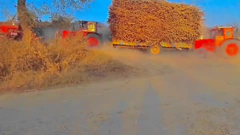 Balaras Tractor510 Working in Village#Powerfull Tractor#village#field working