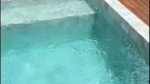 Casa de Máquinas de Piscina Pequena com Hidro