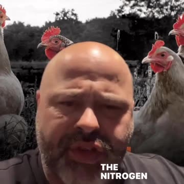 Another Fire Killing Chickens