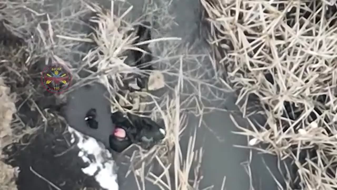 Ukrainian 100th brigade drops grenade and watches Russian recon unit drown