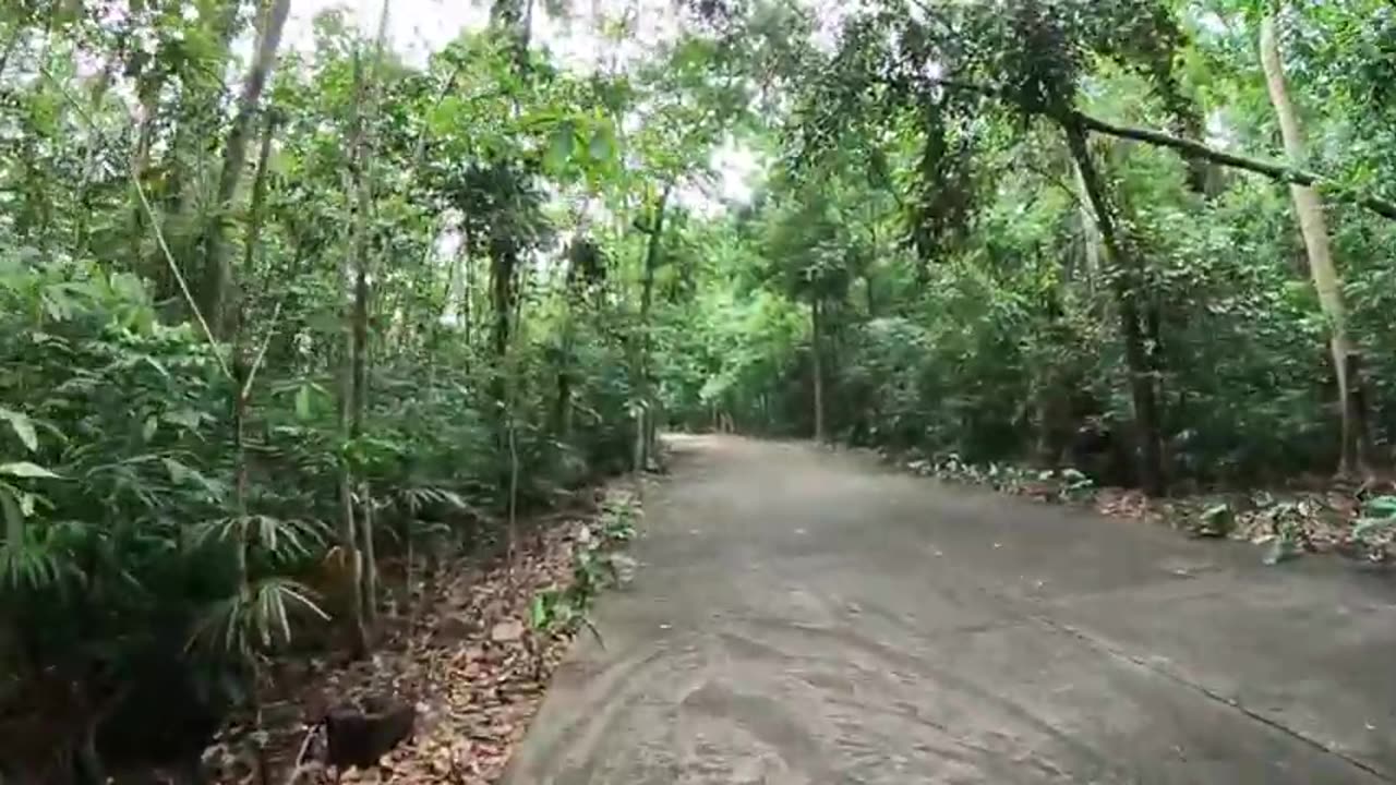 Cliffside Forest Reserve Park - Lasang Initao-Libertad Misamis Oriental Nature Walk with Nomad Walk
